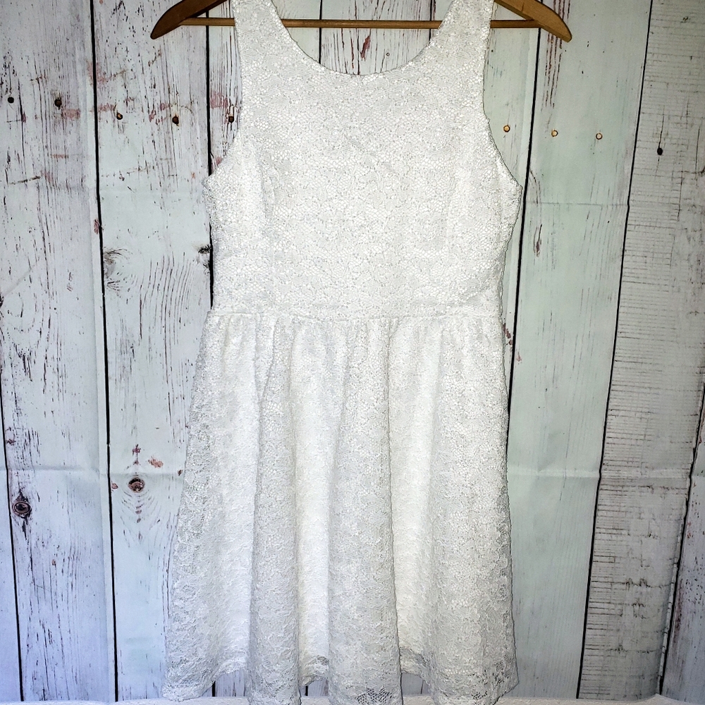 Lush Lace Fit & Flare Dress